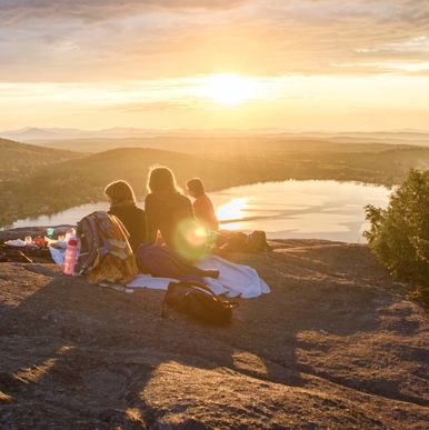 Naturens skønhed fanget på lærred